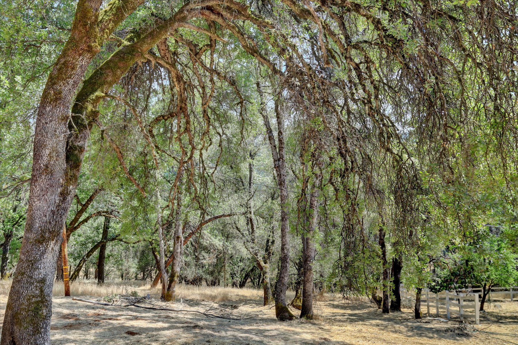 012-IMG_0911_2_3_4_5