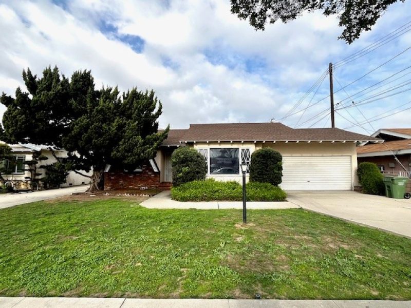 Cornuta Ave, Bellfower 1